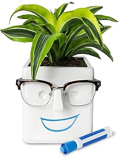 30 Watt Face Plant, Novelty Planter Holds Small Plants, Glasses & You Can Draw on It. Elegant Ceramic Pot for Succulents, Cacti or Your Average Fern, Perfect Gifting