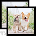 12x12 Picture Frame Set of 2, Black Square Photo Frames High Transparent Wall Gallery Desktop Horizontal Vertical for Canvas Collage Photo Poster Certificate 12 x 12 inches