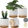 4 Inch Ceramic Plant Pots with Drainage Holes and Trays, Modern Small Minimalist Flower Planter Pot with Saucers for Indoor Plants, Succulent, Snake Plants, Cactus & Herbs, White, Set of 4