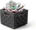 Genuine Fred Fancy Plants Milk Crate, Planter