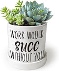 Work Would SUCC Without You Pots - Cute Succulent Planters, 4.3 inch Ceramic Plant Pots, Cute Cactus Planter Pot, Desk Shelf Decor for Home Office