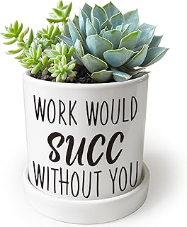 Work Would SUCC Without You Pots - Cute Succulent Planters, 4.3 inch Ceramic Plant Pots, Cute Cactus Planter Pot, Desk Shelf Decor for Home Office