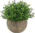 Ogrmar Mini Plastic Faux Plants in Pot/Small Topiary Shrubs Fake Greenery for Bathroom, House Decorations (Green Grass)