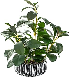 AlphaAcc Artificial Plants Decor Greenery Fake Succulents Indoor Potted Fake Plant with Rustic Black Clay Planter for Home Decor Farmhouse Room Bathroom Bedroom Kitchen Office Table Decor