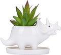 VanEnjoy Desktop Cute Cartoon White Triceratops Dinosaur Ceramic Succulent Pot with Tray, Tabletop Bonsai Cactus Flower Pot Vase Holder Decorative Organizer