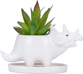 VanEnjoy Desktop Cute Cartoon White Triceratops Dinosaur Ceramic Succulent Pot with Tray, Tabletop Bonsai Cactus Flower Pot Vase Holder Decorative Organizer