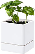 D'vine Dev 4 Inch Herb Planter Pot, Plastic Planter with Drainage Holes and Saucer, Modern Decorative Gardening Pot for Indoor Plants, Flowers, Herbs, Succulents, White, Set of 1, 76-Y-A1-1