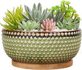 8 Inch Ceramic Succulent Shallow Planter Pot with Drainage Hole and Saucer Beaded Stoneware Planter for Indoor Plants Green