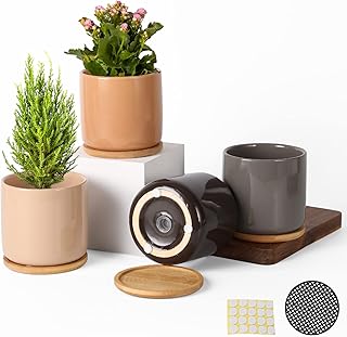 4 Inch Ceramic Plant Pot with Saucer, Multicolor Bright Glazed Planters Pots with Drainage Hole and Mesh Pads for Succulent, Indoor Flowers, Snake Plants, Cactus, Herbs, Set of 4