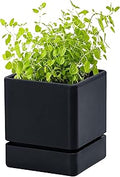 D'vine Dev 4 Inch Herb Planter Pot, Plastic Planter with Drainage Holes and Saucer, Modern Decorative Gardening Pot for Indoor Plants, Flowers, Herbs, Succulents, Black, Set of 1, 76-Y-B1-1