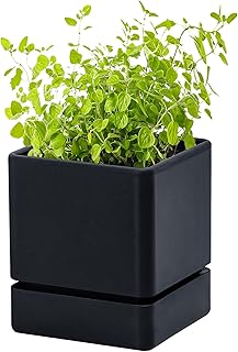 D'vine Dev 4 Inch Herb Planter Pot, Plastic Planter with Drainage Holes and Saucer, Modern Decorative Gardening Pot for Indoor Plants, Flowers, Herbs, Succulents, Black, Set of 1, 76-Y-B1-1