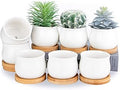 SHECIPIN Succulent Plant Pot, White Mini 2.6 inch Ceramic Flower Planter Pot with Bamboo Tray, Pack of 8 - Plants Not Included