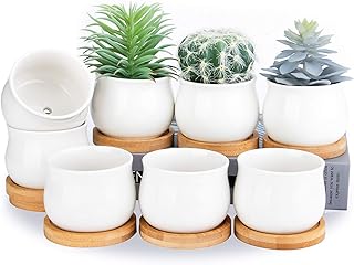 SHECIPIN Succulent Plant Pot, White Mini 2.6 inch Ceramic Flower Planter Pot with Bamboo Tray, Pack of 8 - Plants Not Included