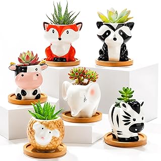 Pumtus 6 Pack Small Succulent Pots with Saucer, 3 Inch Cute Ceramic Animal Planter with Drainage Hole, Unique Air Plant Holder, Desktop Plant Flower Pot for Indoor Plants, Cactus, Garden, Home Decor