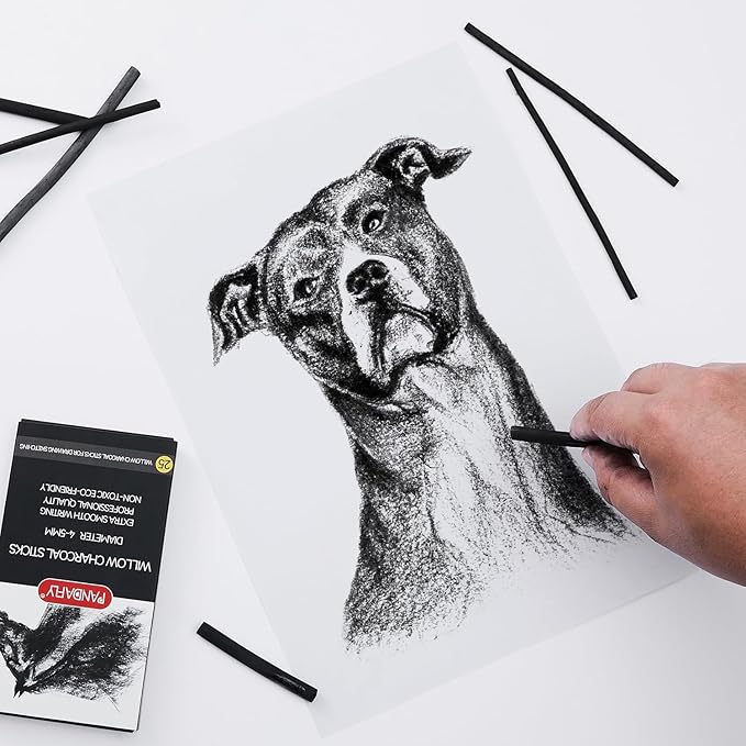 PANDAFLY Willow Charcoal Sticks, Soft, Black Artist Vine Charcoal for Artists, Beginners, Students, Great for Sketching, Drawing, Shading and Fine Art, 4-5mm, 25 Pack