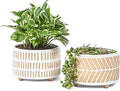 Fayoula Succulent Pots, 6 Inch Planters with Drainage Hole, Modern Indoor Plant Pots for Succulents, Herbs, Aloe, Snake Plant - Ceramic Home Décor, Set of 2