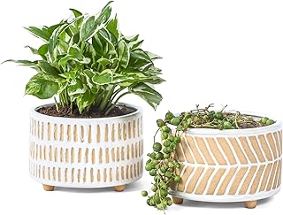 Fayoula Succulent Pots, 6 Inch Planters with Drainage Hole, Modern Indoor Plant Pots for Succulents, Herbs, Aloe, Snake Plant - Ceramic Home Décor, Set of 2