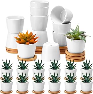 Hsei 24 Pack 2.5 Inch Mini Succulent Plant Pots Small Ceramic Flower Pot with Bamboo Tray Garden Cactus Herb Container Home Office Decoration for Birthday Graduation Wedding Favor Gifts (White)