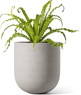 LE TAUCI 6 Inch Plant Pot, Ceramic Planter for Herbs & Small Houseplants, Tabletop Indoor Pot for Shelf, Desk and Windowsill, Small Planter with Drainage Hole & Rubber Plug, Neutral Gray