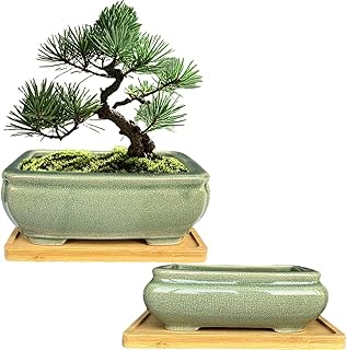 MUZHI 2pcs Green Ceramic Bonsai Planter Pots with Bamboo Tray 6.2 “ & 5.3”, Rectangular Glazed Bonsai & Succulent Cactus Starter Pot with Drainage Ice Crack Design