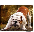 Bulldog Gaming Mousepad Bulldog Biting A Branch Cute Dog Mouse Pad Mouse Mat for Computer Desk Laptop Office 9.5 X 7.9 Inch Non-Slip Rubber