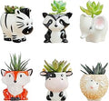 DIYOMR Cute Animal Ceramics Planter Small Succulent Pot Cartoon Shaped Plant Pot for Mini Plants Flower Cactus, Smooth Shiny Ceramic - Plants Not Included (6 Animals Set)