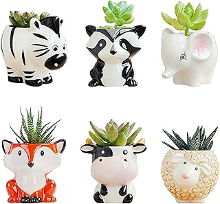 DIYOMR Cute Animal Ceramics Planter Small Succulent Pot Cartoon Shaped Plant Pot for Mini Plants Flower Cactus, Smooth Shiny Ceramic - Plants Not Included (6 Animals Set)