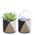 D'vine Dev 3.5" Stoneware Cachepot Planter with 3" Clear Nursery Pot & Detachable Saucer – Indoor Plant Pot with Drainage for Bottom Watering & Root Visibility, Midnight Mesa, Set of 2, 93-V-A-2