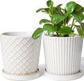 LE TAUCI Ceramic Pots for Plants, 5.4 Inch Plant Pots with Drainage Hole and Saucer, Indoor Plant Pots for Succulent, Snake Plants and Cactus, Flower Pots, Set of 2, Reactive Glaze White