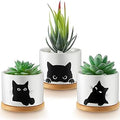 Honeydak Funny Succulent Black Cat Plant Pots 3.15 Inch Ceramic Flower Pots With Bamboo Tray, Drainage Hole - Cute Birthday Gifts for Women, Housewarming Gift