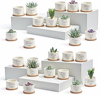 Fumete 24 Set Father's Day Christian Religious Gift Bulk Bible Verse Succulent Pots with Tray Drainage, 12 Scripture Quote, 3x2 in Mini Ceramic Flower Planter for Home Church Gift (Affirmation)