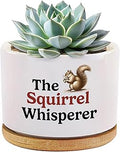 The Squirrel Whisperer Ceramic Succulent Plant Pot with Bamboo Tray Squirrel Lover Gifts for Women Men Fall Gifts Home Office Decor Plant Lover 3.5 Inch White (No Plants)