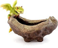 Top Collection Rex The Green Dragon - Mini Collectible Fantasy Figurine Planter (Perched on Planter)