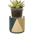 D'vine Dev 3.5" Stoneware Cachepot Planter with 3" Clear Nursery Pot & Detachable Saucer – Modern Indoor Plant Pot with Drainage for Bottom Watering & Root Visibility, Desert Forest, 93-O-A-1