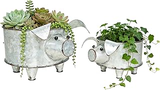 ShabbyDecor Galvanized Metal Pig Succulent Planter Farmhouse Pig Shaped Bowl Metal Pig Tray Rustic Decor Set of 2