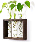 Wooden Propagation Station with 3 Glass Test Tubes, Tabletop Glass Terrarium Holder for Cuttings Hydroponics, Home Office Desk Decor Gift for Women Mom Plant Lovers, Brown