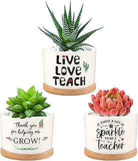 PARBEE Teacher Appreciation Gifts - Thank You for Helping Me Grow Succulent Planter Pots, Mini Ceramic Plant Pot, Graduation Gift for Teachers, Back to School Christmas Teacher Gifts