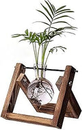 Kingbuy Plant Propagation Station Air Plant Terrarium Bulb Vase with Wooden Swivel Holder Desktop Glass Planter for Indoor Water Plants Home Office Tabletop Decor - 1 Bulb Vase