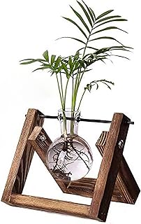 Kingbuy Plant Propagation Station Air Plant Terrarium Bulb Vase with Wooden Swivel Holder Desktop Glass Planter for Indoor Water Plants Home Office Tabletop Decor - 1 Bulb Vase