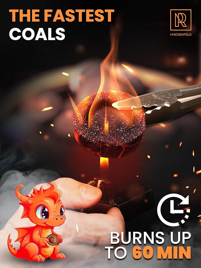10 pcs Charcoal Tablets for Incense - Hookah Charcoal Hookah Coals for Hooka - Quick Light Charcoal Tablets - 33 mm Premium Quality Incense Charcoals Discs - 10 Charcoal for Incenses Burning