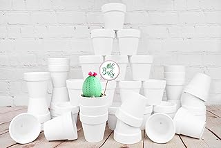 40 Pcs White Terracotta Pot - 2.5 Inch Mini Clay Pots with Drainage Holes Flower Nursery Terra Cotta Pots for Succulent Plants, Crafts, Wedding Baby Shower Favor