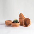 HERDUK Shallow Terracotta Pots 5 inch, Pack of 6 Clay Pots for Plants with Drainage Holes and Saucers, Mini Nursery Plant Pots for Seed, Succulents, Cactus, Indoor,Outdoor