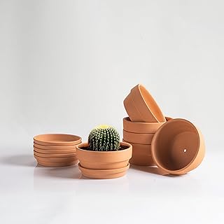 HERDUK Shallow Terracotta Pots 5 inch, Pack of 6 Clay Pots for Plants with Drainage Holes and Saucers, Mini Nursery Plant Pots for Seed, Succulents, Cactus, Indoor,Outdoor
