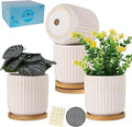 4 Inch Ceramic Plant Pots with Drainage Holes, Modern Vertical Pattern Flower Planter with Saucer for Indoor Plants, Succulent, Cactus & Herbs, White, Set of 4 (Plants Not Included)