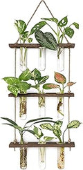 Mkono Plant Propagation Tubes, 3 Tiered Wall Hanging Terrarium with Wooden Stand Flower Vase Test Tube Glass Planter Stations for Hydroponic Cutting Home Garden Office Decor (Brown, Small)