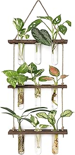 Mkono Plant Propagation Tubes, 3 Tiered Wall Hanging Terrarium with Wooden Stand Flower Vase Test Tube Glass Planter Stations for Hydroponic Cutting Home Garden Office Decor (Brown, Small)