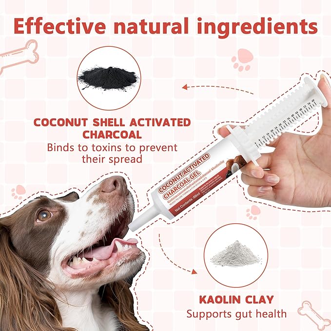 Activated Charcoal Paste for Dogs and Cats (60 ml) - Digestive Supplement, Daily Oral Care Paste for Pets
