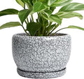 SQOWL 8 inch Plant Pot - Ceramic Planter with Drainage Hole and Saucer, Round Flower Pot for Indoor Plants, Decorative Planter Outdoor, Patio Balcony Decor, House Warming Gifts, Black and White