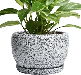 SQOWL 8 inch Plant Pot - Ceramic Planter with Drainage Hole and Saucer, Round Flower Pot for Indoor Plants, Decorative Planter Outdoor, Patio Balcony Decor, House Warming Gifts, Black and White