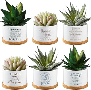 Unittype 6 Pcs Teacher Appreciation Gifts Ceramic Succulent Mini Planter Planter with Tray Office Desk Decor Thank You Gifts for Employee Teacher Nurse Staff End of Year Graduation